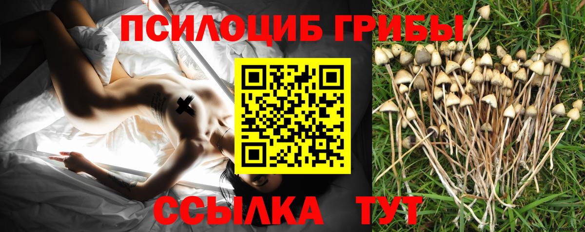 Псилоцибиновые грибы мухоморы Кизилюрт